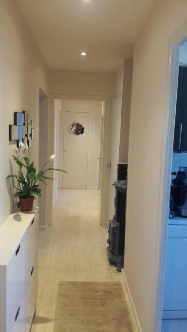 Cabana & Appartement Ideal Анси Екстериор снимка